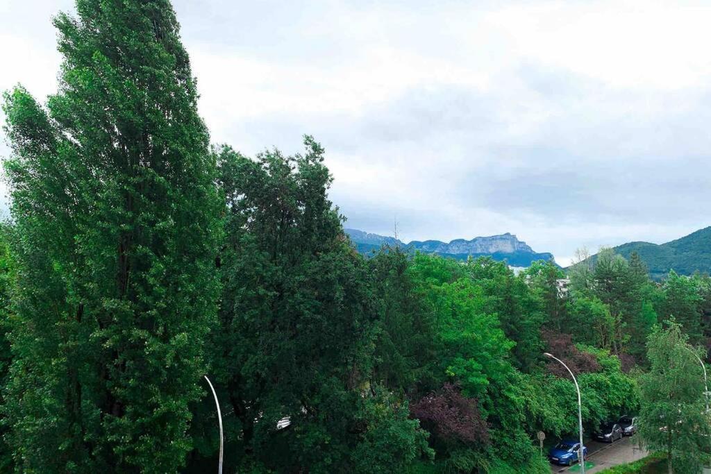 Charmant Appartement Avec Vue Sur Les Montagnes Анси Екстериор снимка